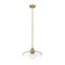 Z-Lite Paloma Pendant, 1-Light, 14 In.W x 6.25 In.H, Olde Brass/Clear 821P14-OBR - alternate 4
